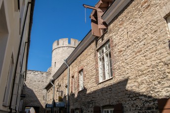 Altstadt mit Stadtmauern Tallinn