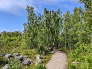 Wanderung bei Björkö im Kvarken Archipel